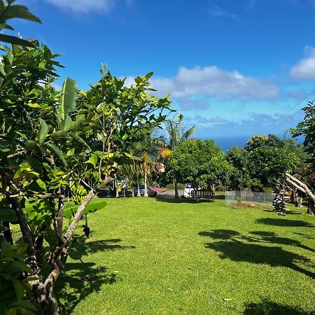 L'Escapade Creole Jacuzzi Privatif Bungalow Bananier 圣若瑟 外观 照片